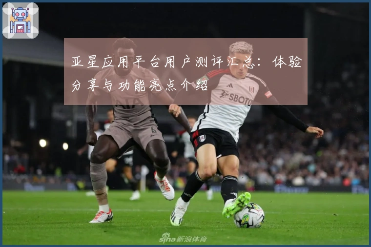 亚星应用平台用户测评汇总：体验分享与功能亮点介绍